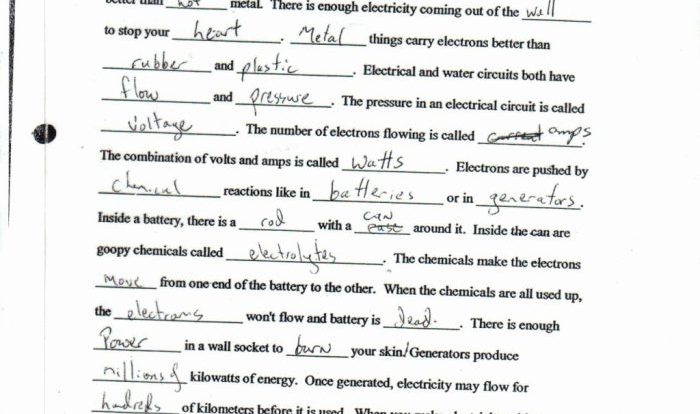 Bill nye evolution worksheet answers