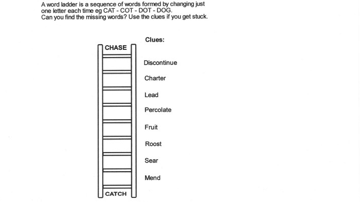 Word ladder official officers answers