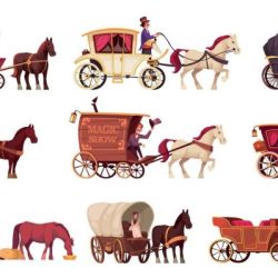 Horse drawn carriages carts different coaches works coloured lithograph seven size